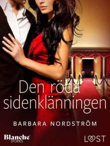 Den röda sidenklänningen - erotisk novell