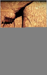 The Religion of Babylonia