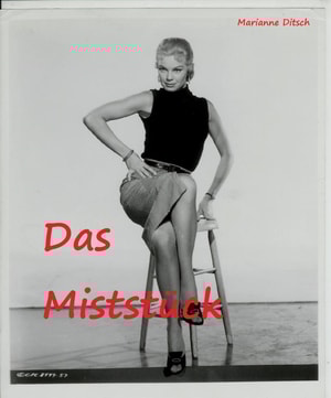 Das Miststück - erotischer Kurzroman