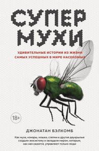 Super Fly. The Unexpected Lives of the World's Most Successful Insects