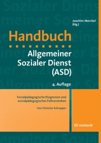 Sozialpädagogische Diagnosen und sozialpädagogisches Fallverstehen