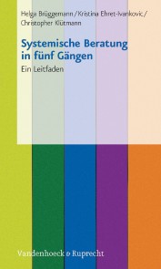 Systemische Beratung in fünf Gängen