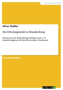 Ein Erholungswald in Brandenburg
