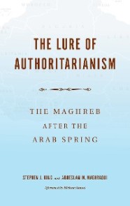 The Lure of Authoritarianism