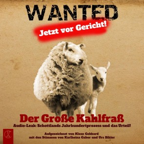 Die Cannabis-Teillegalisierung und damit verbundene Anforderungen an das deutsche Suchthilfesystem