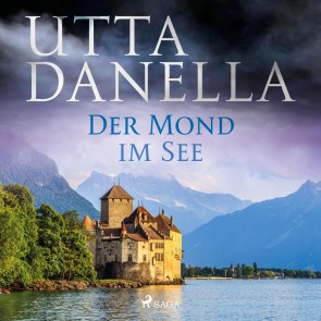 Der Mond im See