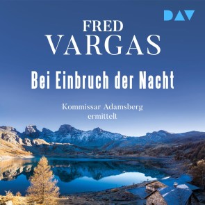 Bei Einbruch der Nacht - Adamsberg 2