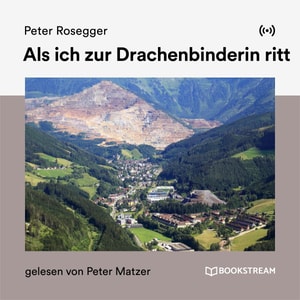 Als ich zur Drachenbinderin ritt