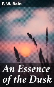 An Essence of the Dusk