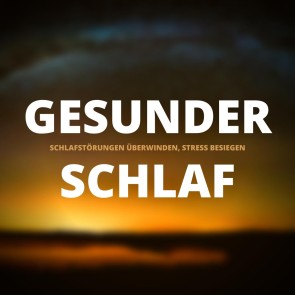 Gesunder Schlaf: Schlafstörungen überwinden, Stress dauerhaft besiegen (Premium-Bundle)