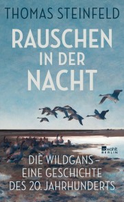 Rauschen in der Nacht