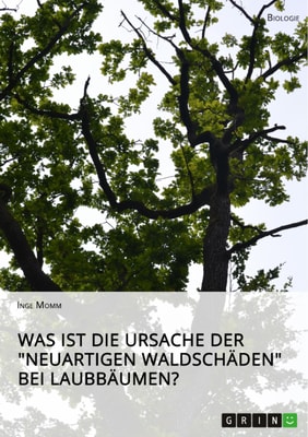Was ist die Ursache der "Neuartigen Waldschäden" bei Laubbäumen?