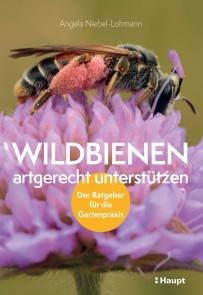 Wildbienen artgerecht unterstützen