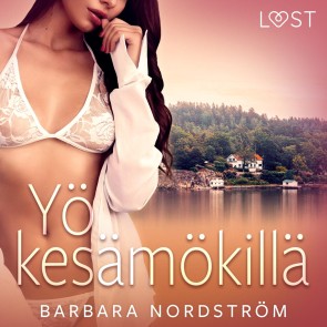 Yö kesämökillä - eroottinen novelli