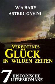 Verbotenes Glück in wilden Zeiten: 7 historische Liebesromane