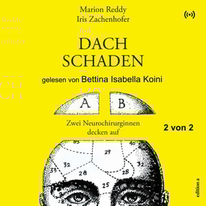Dachschaden