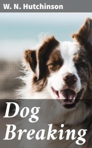 Dog Breaking