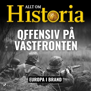 Offensiv på Västfronten