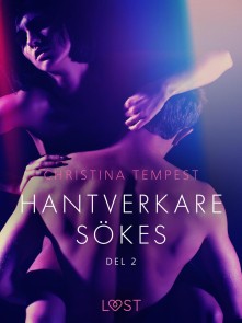 Hantverkare sökes Del 2 - erotisk novell