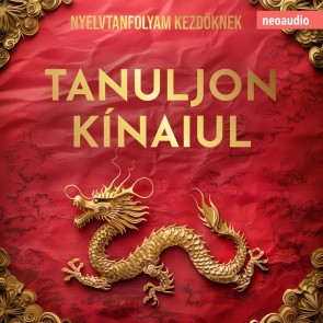 Nyelvtanfolyamok kezdőknek, Tanuljon kínaiul