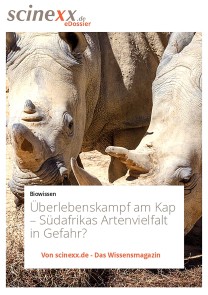 Überlebenskampf am Kap