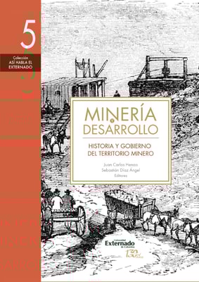 Minería y desarrollo. Tomo 5