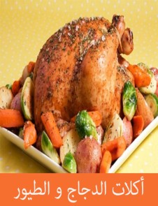 Chicken and bird food