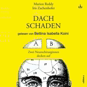 Dachschaden