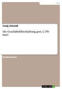 Die Geschäftsführerhaftung gem. § 15b InsO