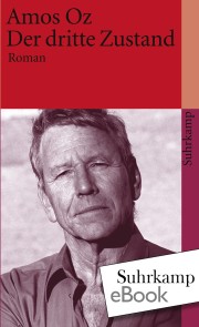 Der dritte Zustand