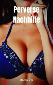Perverse Nachhilfe