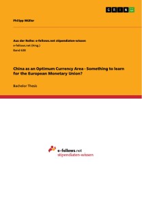 China as an Optimum Currency Area - Something to learn for the European Monetary Union?