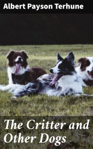 The Critter and Other Dogs
