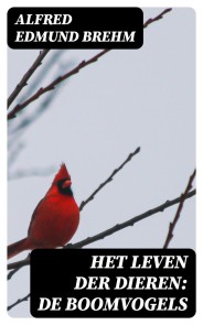 Het Leven der Dieren: De Boomvogels