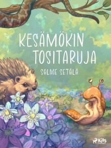 Kesämökin tositaruja