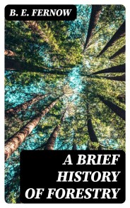 A Brief History of Forestry
