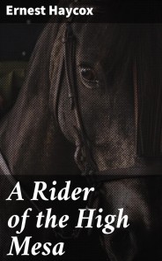 A Rider of the High Mesa