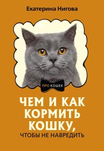 Chem i kak kormit koshku, chtoby ne navredit