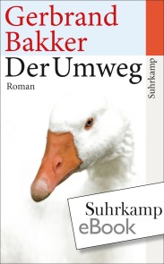 Der Umweg