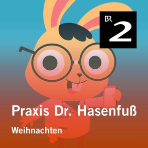 Praxis Dr. Hasenfuß: Weihnachten