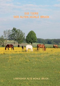 Wie kommt das Pony auf den Gnadenbrothof?