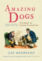 Amazing Dogs