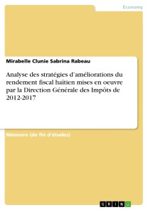 Analyse des stratégies d'améliorations du rendement fiscal haïtien mises en oeuvre par la Direction Générale des Impôts de 2012-2017