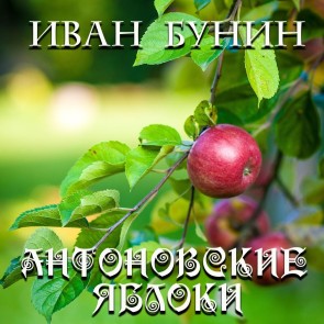 Antonov Apples