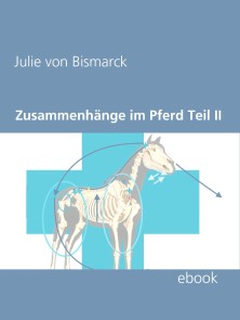 Zusammenhänge im Pferd Teil II