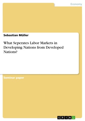 What Seperates Labor Markets in Developing Nations from Developed Nations?