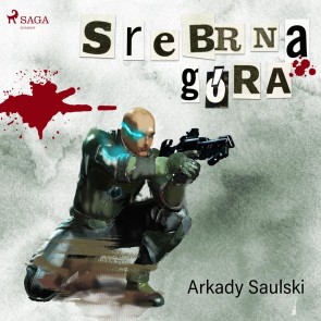 Srebrna Góra