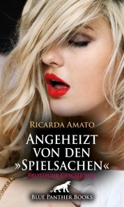Angeheizt von den »Spielsachen« | Erotische Geschichte