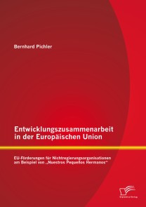 Entwicklungszusammenarbeit in der Europäischen Union: EU-Förderungen für Nichtregierungsorganisationen am Beispiel von „Nuestros Pequeños Hermanos“