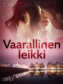 Vaarallinen leikki - eroottinen novelli